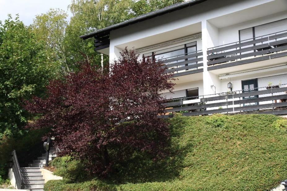 Appartement Maya Winterberg Dış mekan fotoğraf